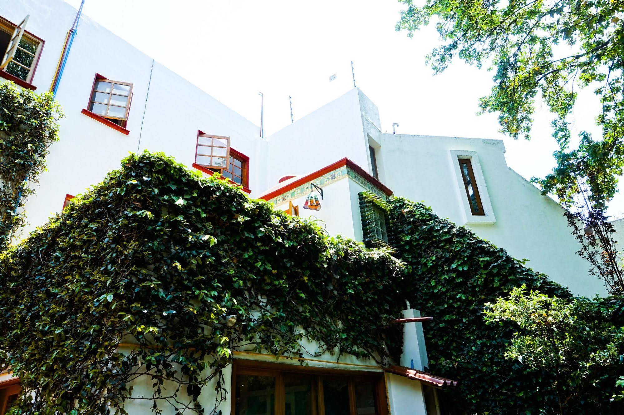 Casa Jacinta Guest House Mexico by Eksteriør bilde
