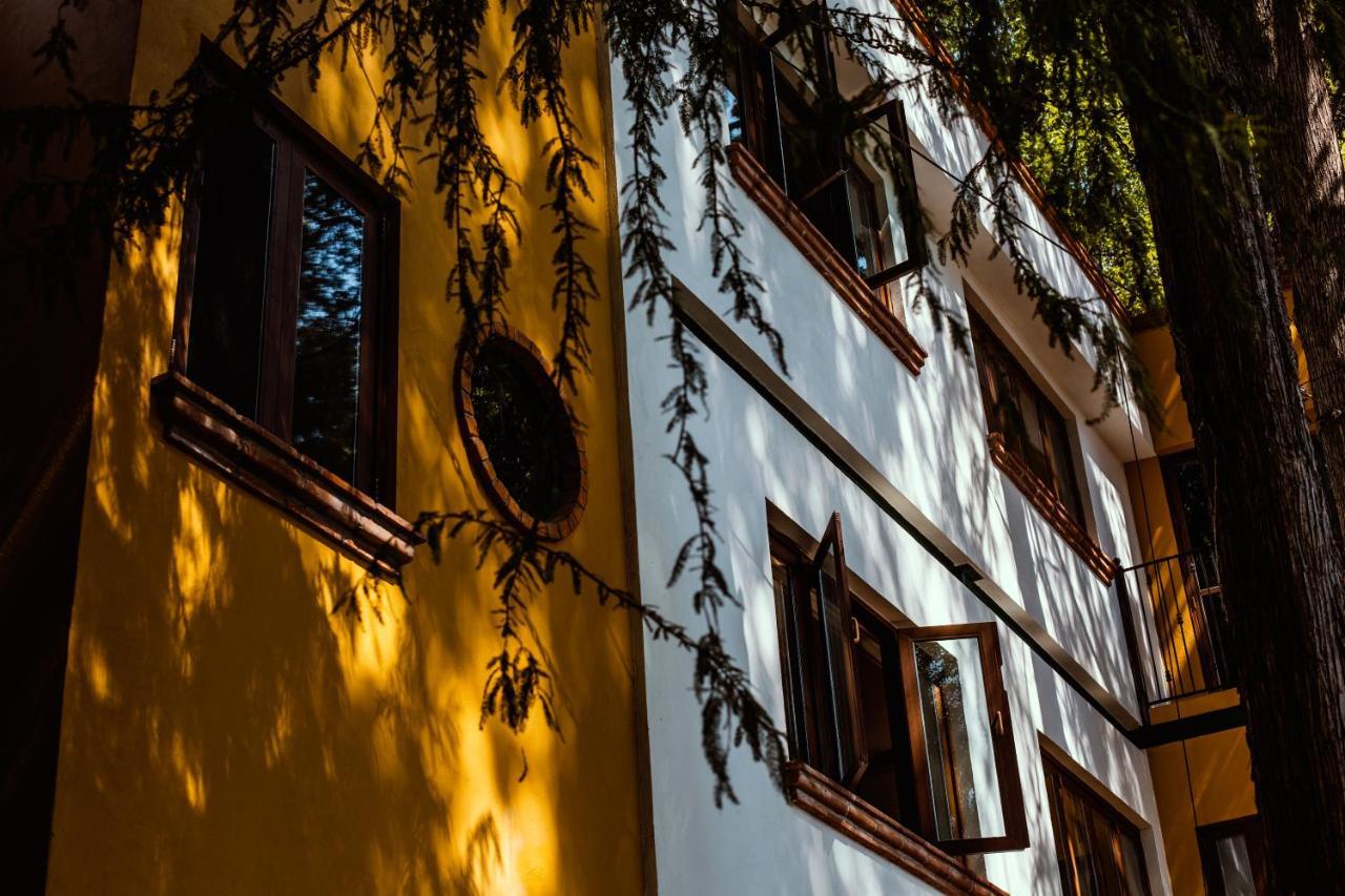 Casa Jacinta Guest House Mexico by Eksteriør bilde